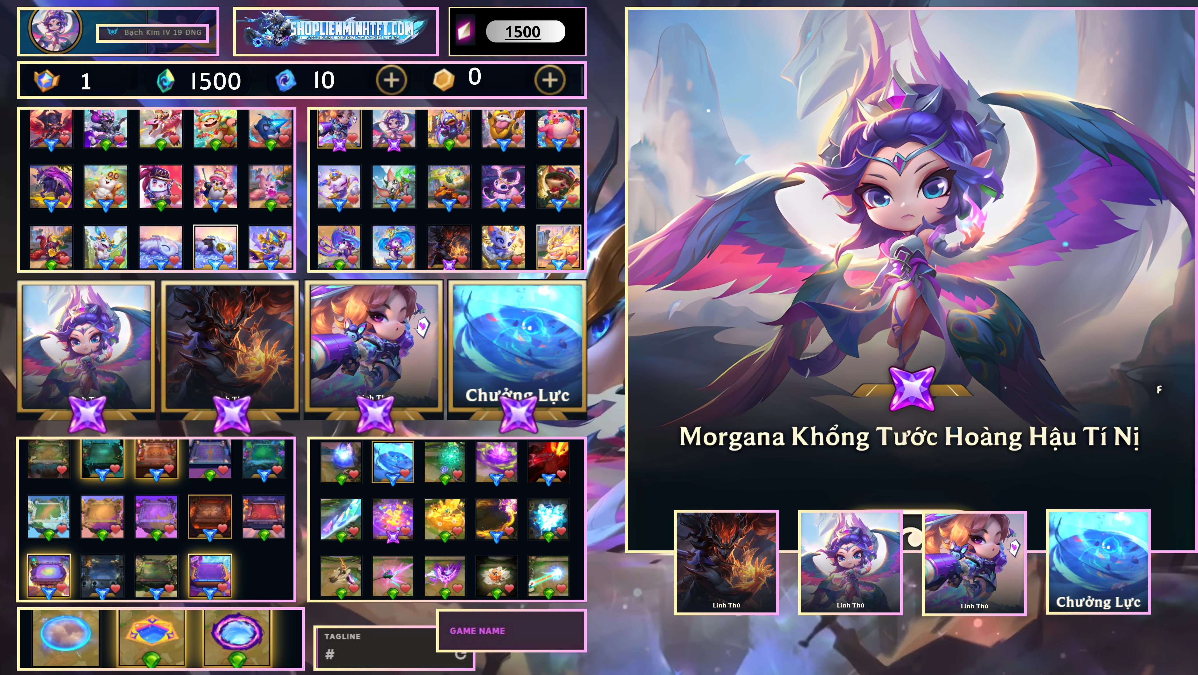 - Combo 3 Pet Tím - Sàn Chưởng